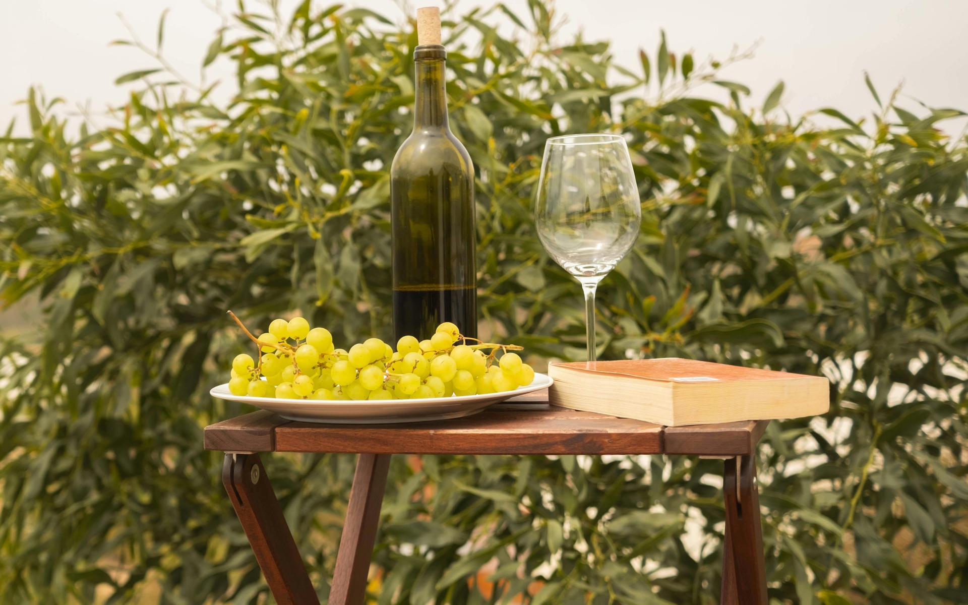 Wein lesen