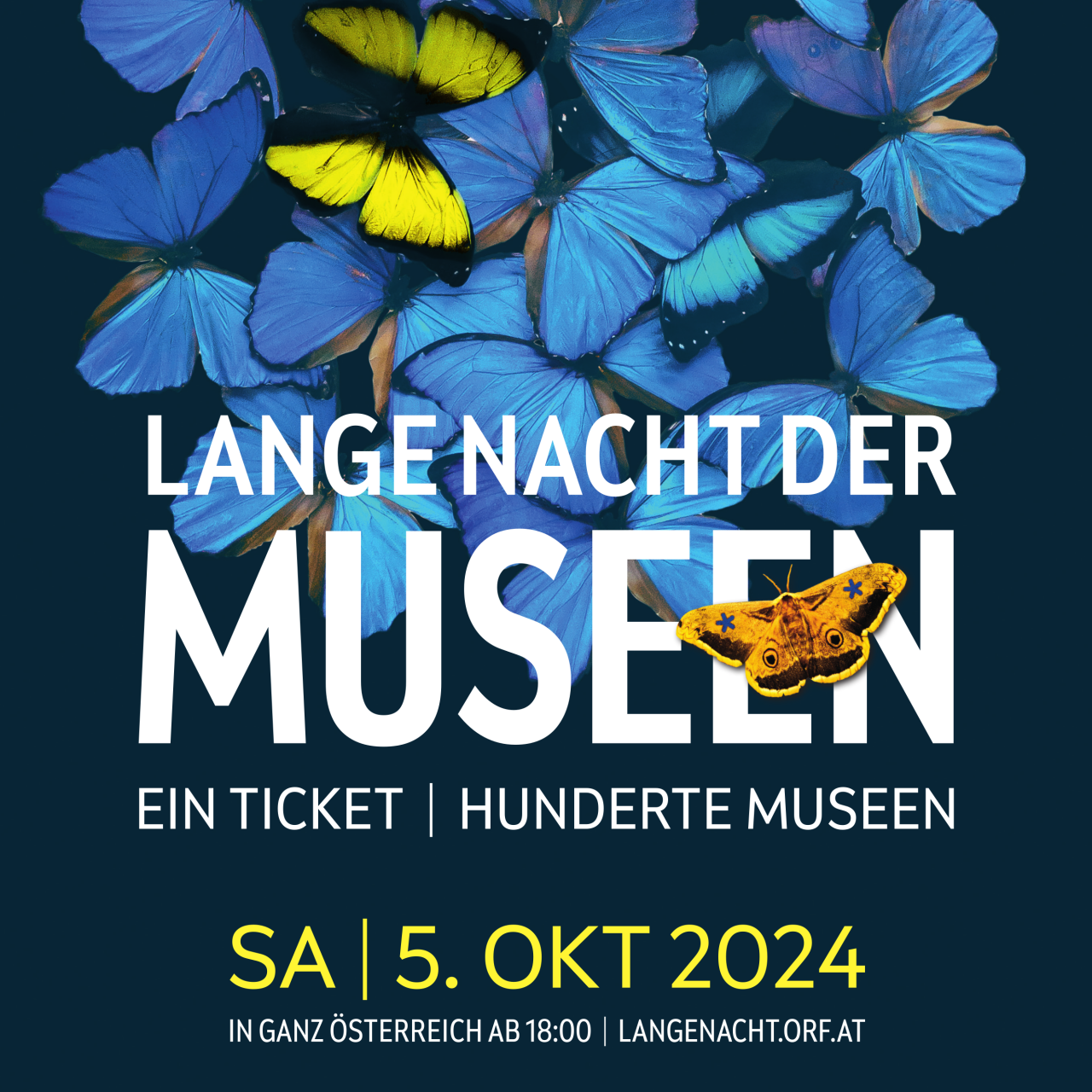 Lange Nacht 2024